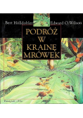 Podroż w krainie mrówek