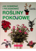 Jak dobierać i pielęgnować rośliny pokojowe