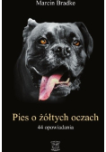 Pies o żółtych oczach