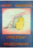 Uwięziony wszechświat