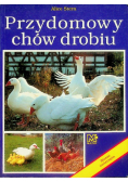 Przydomowy chów drobiu
