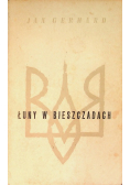 Łuny w Bieszczadach