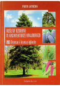 Rośliny ozdobne w architekturze krajobrazu Część III