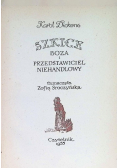 Szkice Boza i przedstawiciel niehandlowy