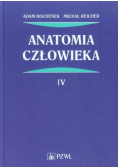 Anatomia Człowieka Tom 4