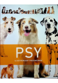 Psy. Ilustrowany przewodnik