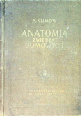 Anatomia zwierząt domowych tom iI