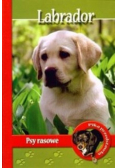Labrador