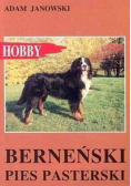 Berneński pies pasterski