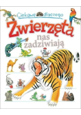 Ciekawe dlaczego. Zwierzęta nas zadziwiają
