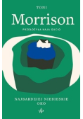 Najbardziej niebieskie oko