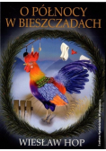 O północy w Bieszczadach