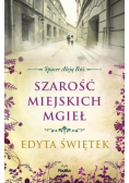 Szarość miejskich mgieł