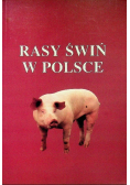 Rasy świń w Polsce