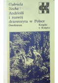 Andriolli i rozwój drzeworytu w Polsce