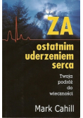 Za ostatnim uderzeniem serca