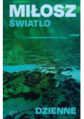 Światło dzienne