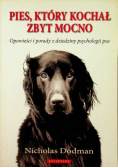 Pies który kochał zbyt mocno