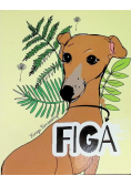 Figa
