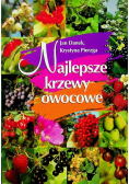 Najlepsze krzewy owocowe