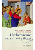 Uzdrowienie nad sadzawką Siloam