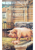 Weterynarz w zaprzęgu