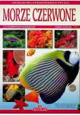 Morze Czerwone 335 barwnych fotografii