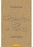 Przed obrazem Bożego Miłosierdzia wybór wierszy