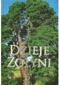 Dzieje Żołyni