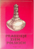 Pradzieje ziem polskich Tom I - 2