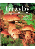 Grzyby Gatunki Zbieranie Przyrządzanie