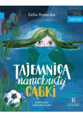 Tajemnica namokniętej gąbki
