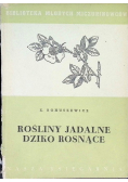 Rośliny jadalne dziko rosnące
