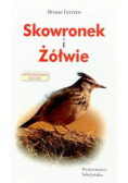 Skowronek i Żółwie