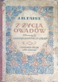 Z życia owadów, 1925 r.