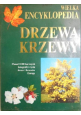 Wielka encyklopedia. Drzewa, krzewy