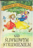 Nad śliwkowym strumieniem