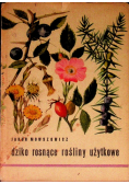 Dziko rosnące rośliny użytkowe
