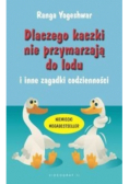 Dlaczego kaczki nie przymarzają do lodu i inne zagadki codzienności