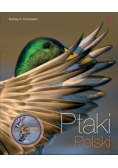 Ptaki Polski