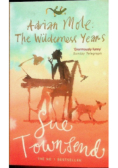 The Wilderness Years