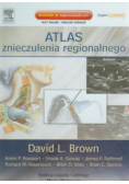 Atlas znieczulenia regionalnego