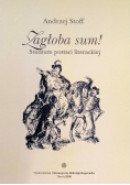 Zagłoba sum Studium postaci literackiej