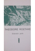 Dalekie pole