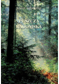 Puszcza radomska