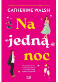 Na jedną noc