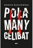 Połamany celibat
