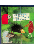 Przygody Jeża spod miasta Zgierza