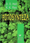 Fotosynteza