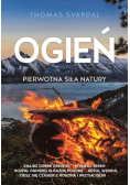 Ogień